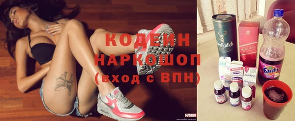 шишки Ачинск