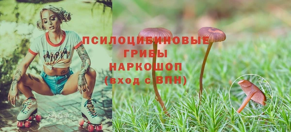 МДПВ Лихославль