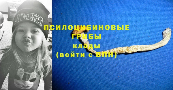 МДПВ Лихославль
