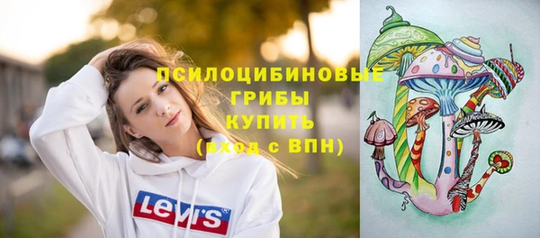 МДПВ Лихославль
