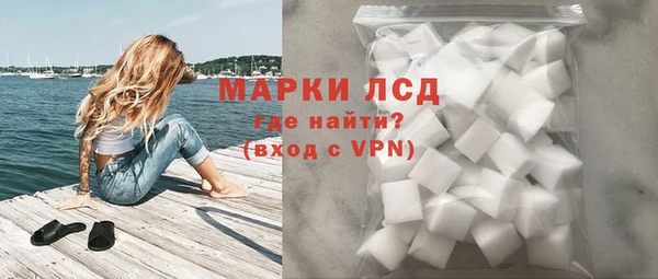 прущие грибы Березники