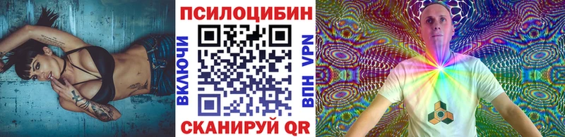 купить наркотики цена  мега вход  Галлюциногенные грибы прущие грибы  Щёлкино 